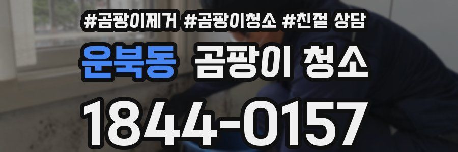 운북동 곰팡이 청소