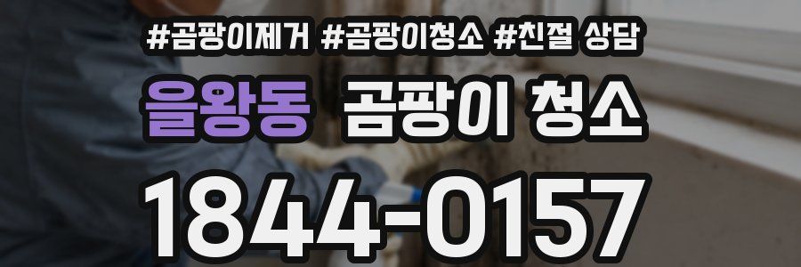 을왕동 곰팡이 청소