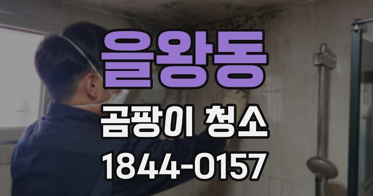 을왕동 곰팡이 청소