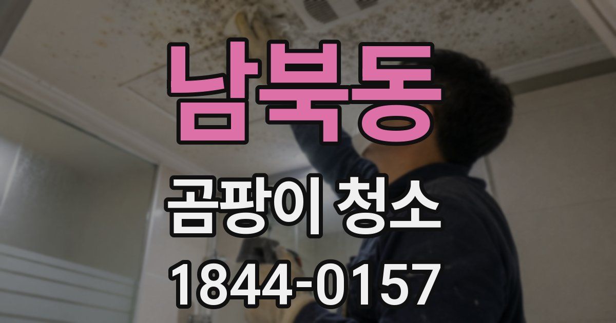 남북동 곰팡이 청소