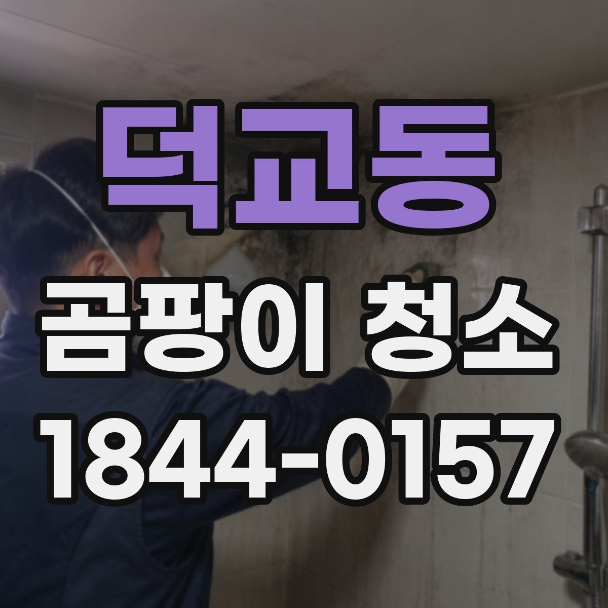 덕교동 곰팡이 청소