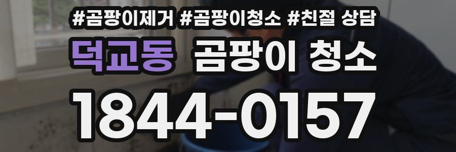 덕교동 곰팡이 청소