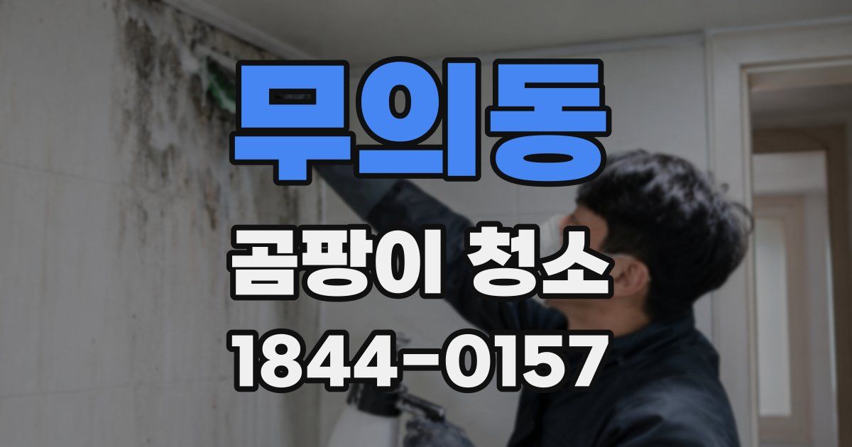 무의동 곰팡이 청소