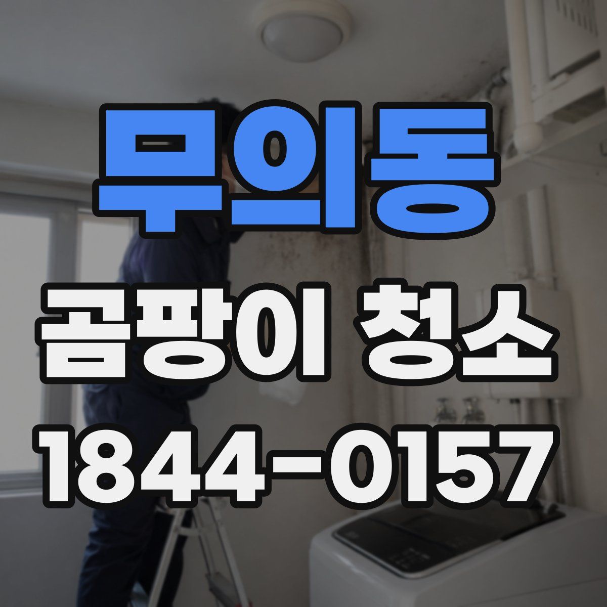 무의동 곰팡이 청소