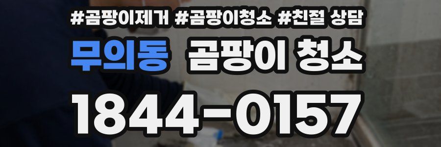 무의동 곰팡이 청소