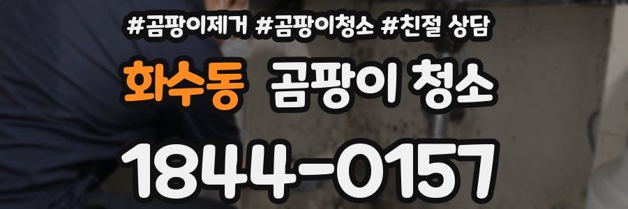 화수동 곰팡이 청소