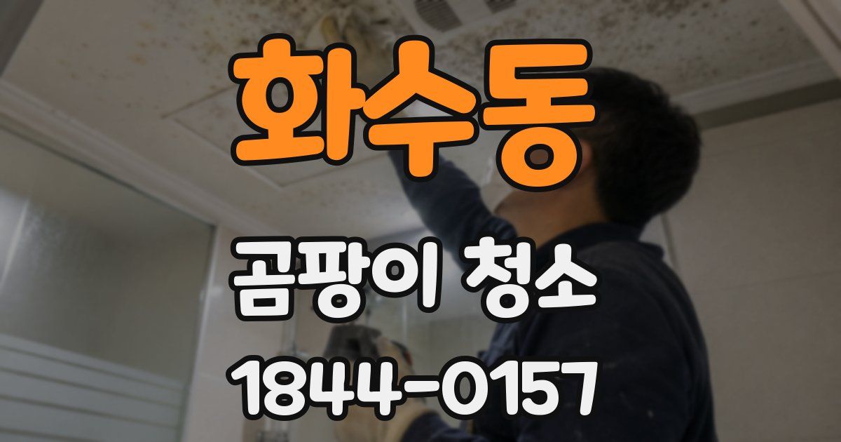 화수동 곰팡이 청소