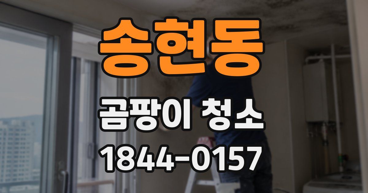 송현동 곰팡이 청소