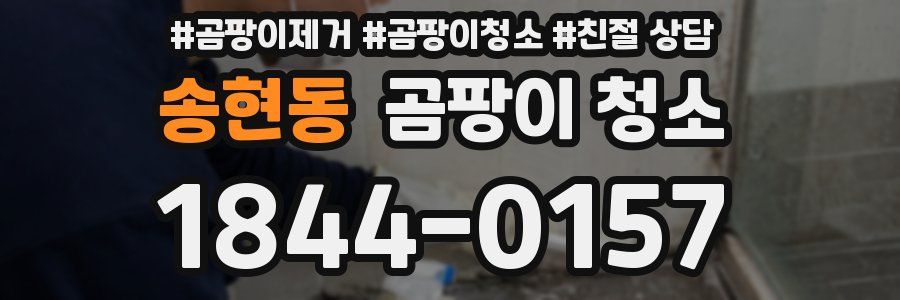 송현동 곰팡이 청소