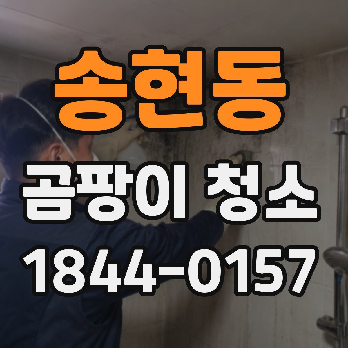 송현동 곰팡이 청소