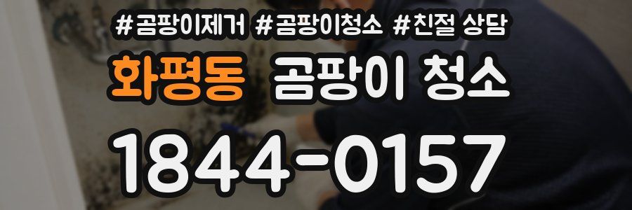 화평동 곰팡이 청소