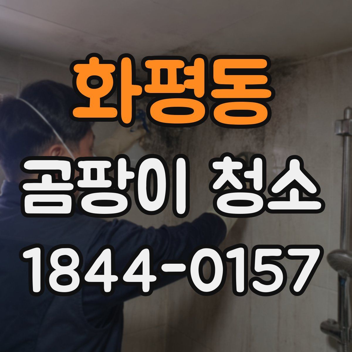 화평동 곰팡이 청소