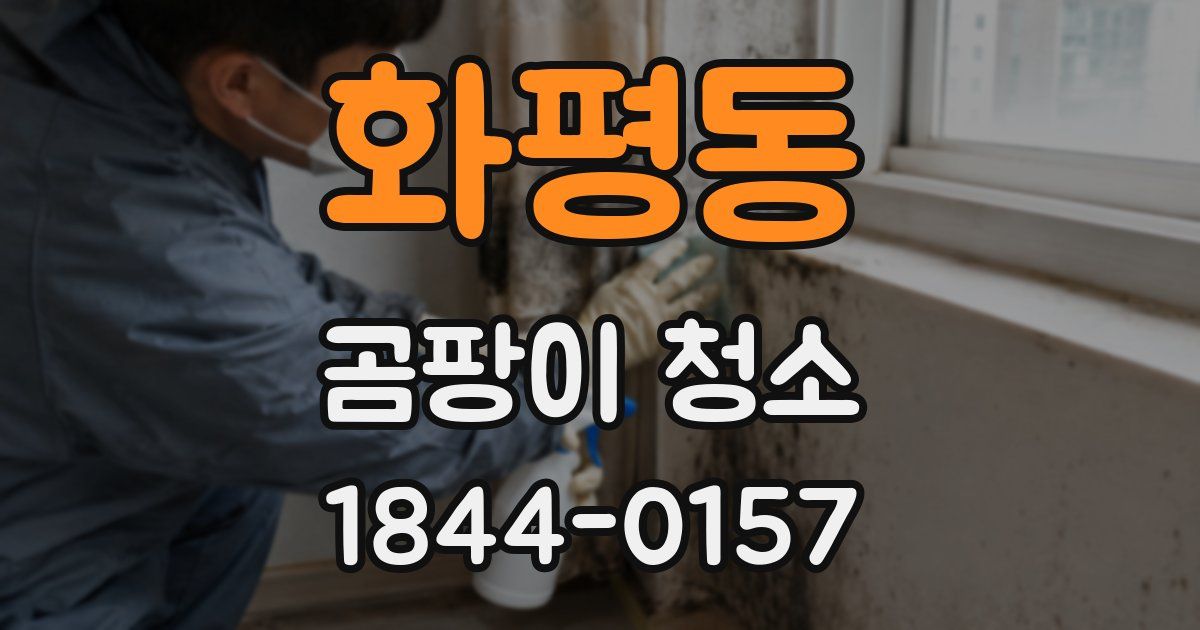 화평동 곰팡이 청소