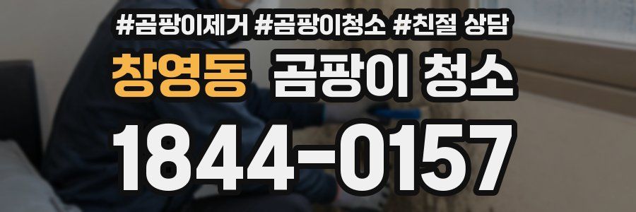 창영동 곰팡이 청소
