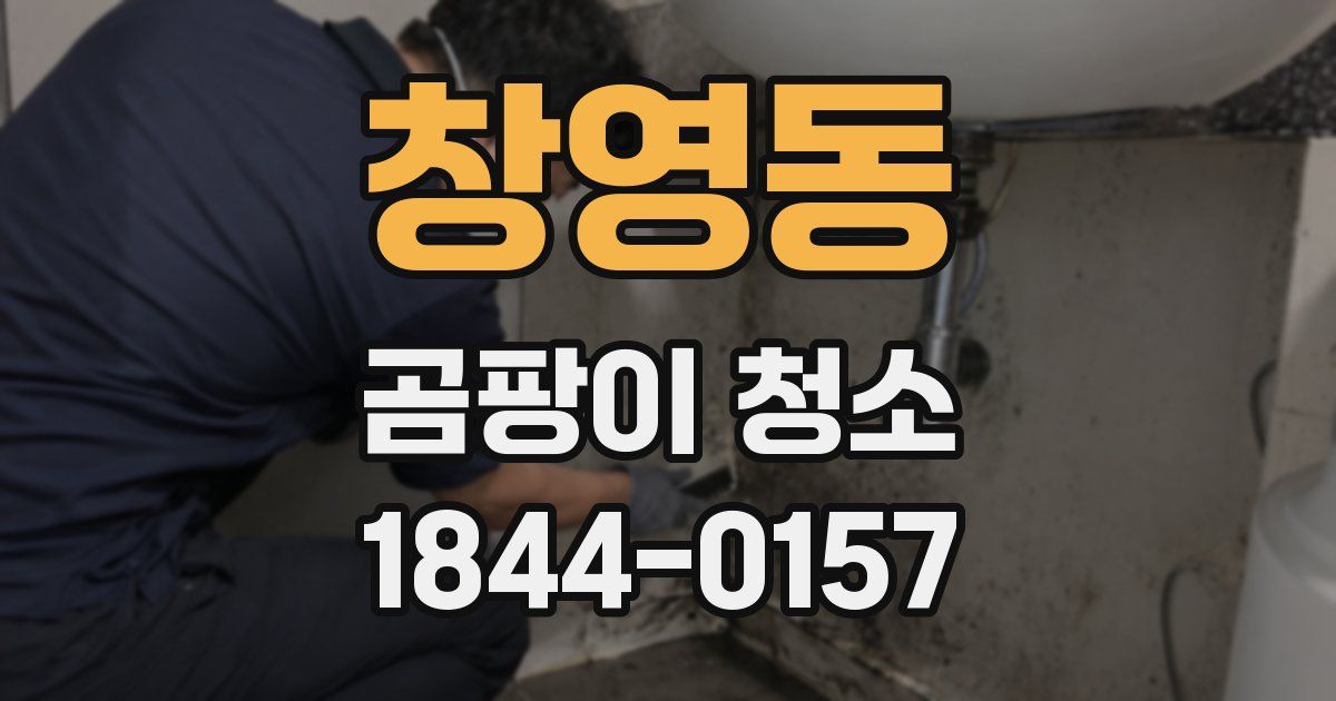 창영동 곰팡이 청소