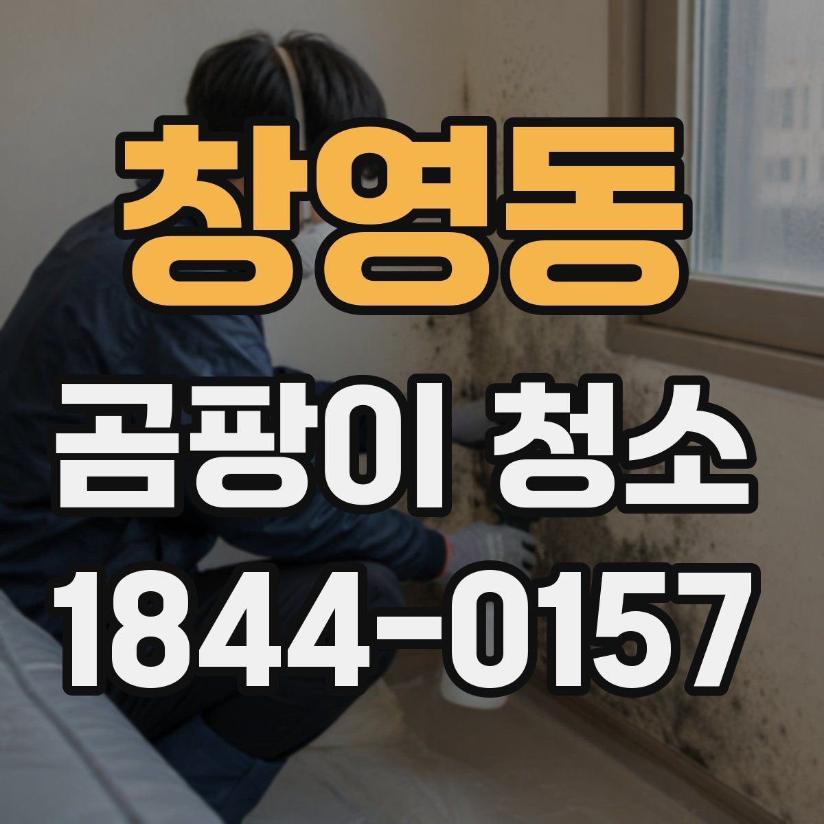 창영동 곰팡이 청소