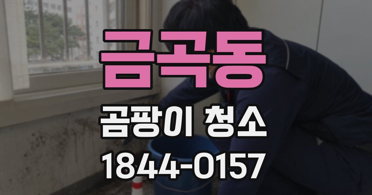 금곡동 곰팡이 청소
