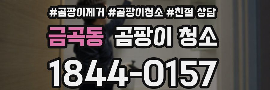 금곡동 곰팡이 청소