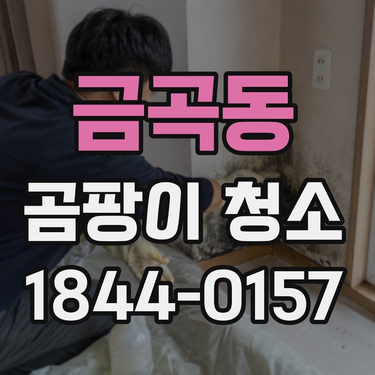 금곡동 곰팡이 청소