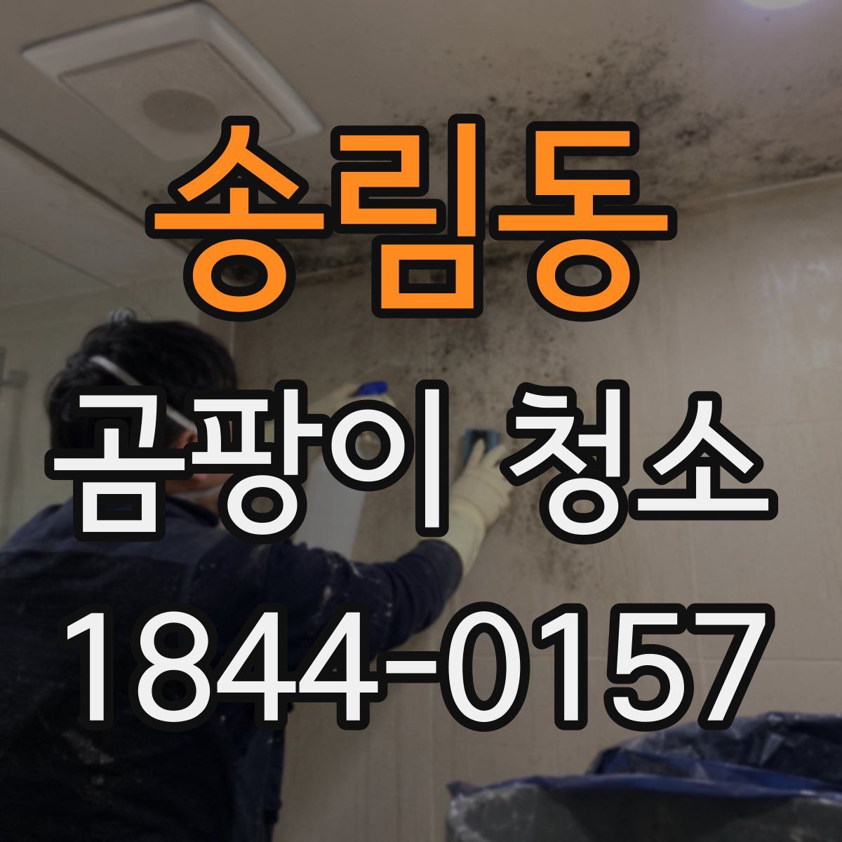 송림동 곰팡이 청소