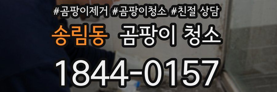 송림동 곰팡이 청소