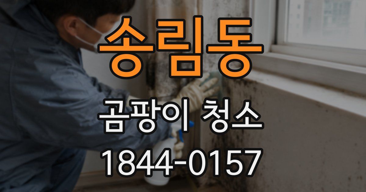 송림동 곰팡이 청소