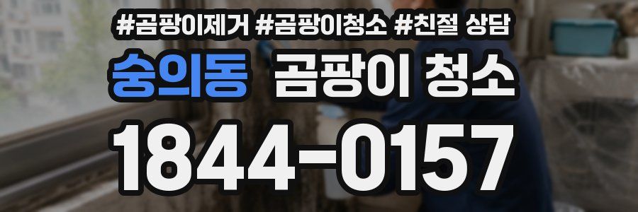 숭의동 곰팡이 청소