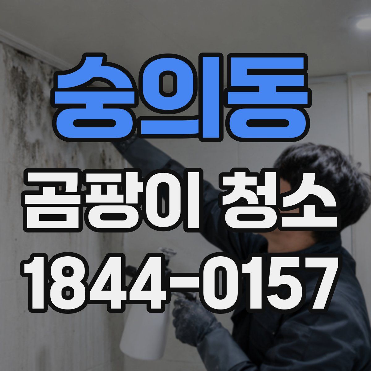 숭의동 곰팡이 청소