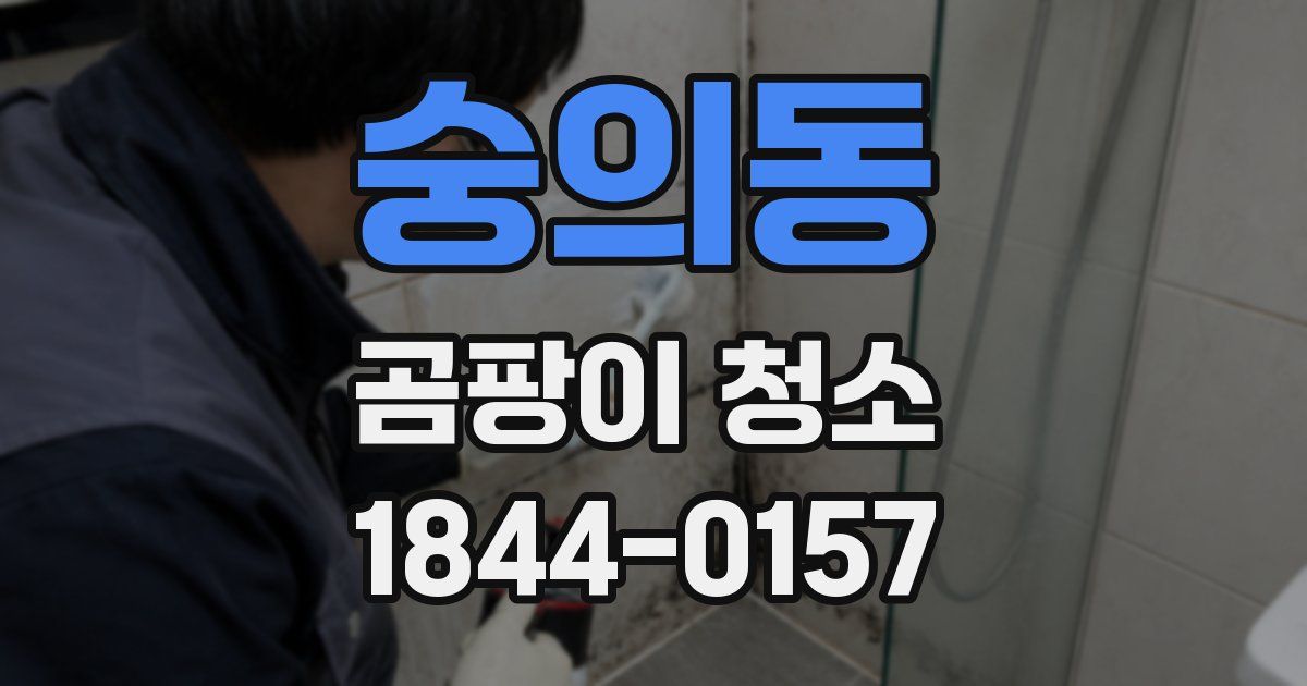 숭의동 곰팡이 청소