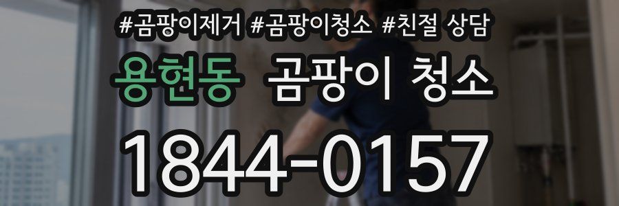 용현동 곰팡이 청소