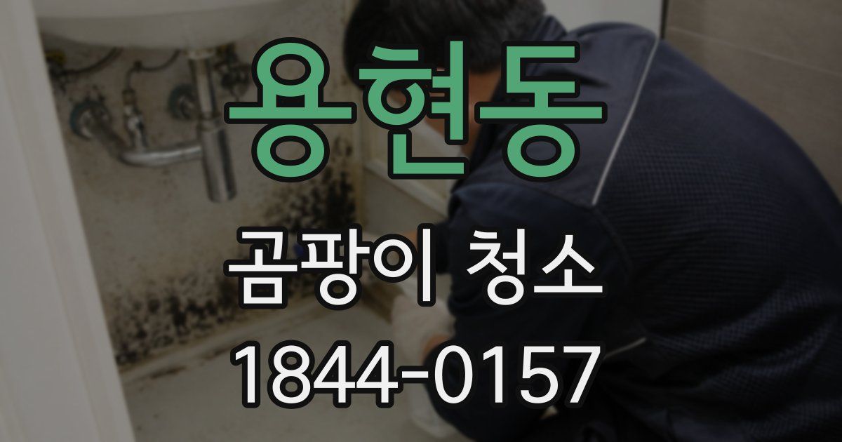 용현동 곰팡이 청소