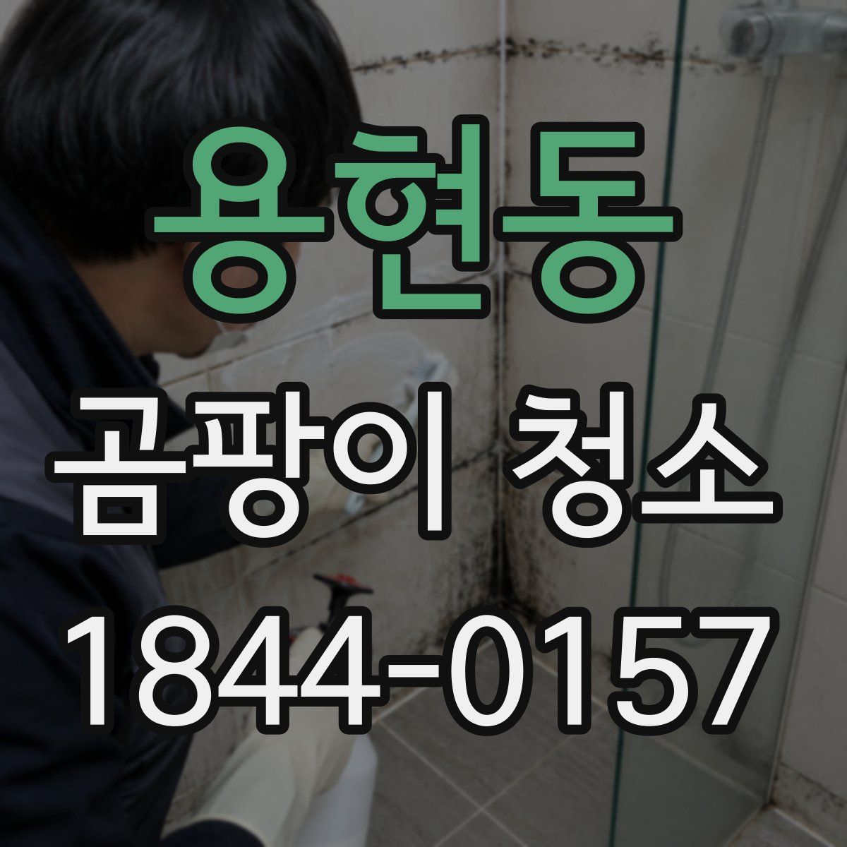 용현동 곰팡이 청소