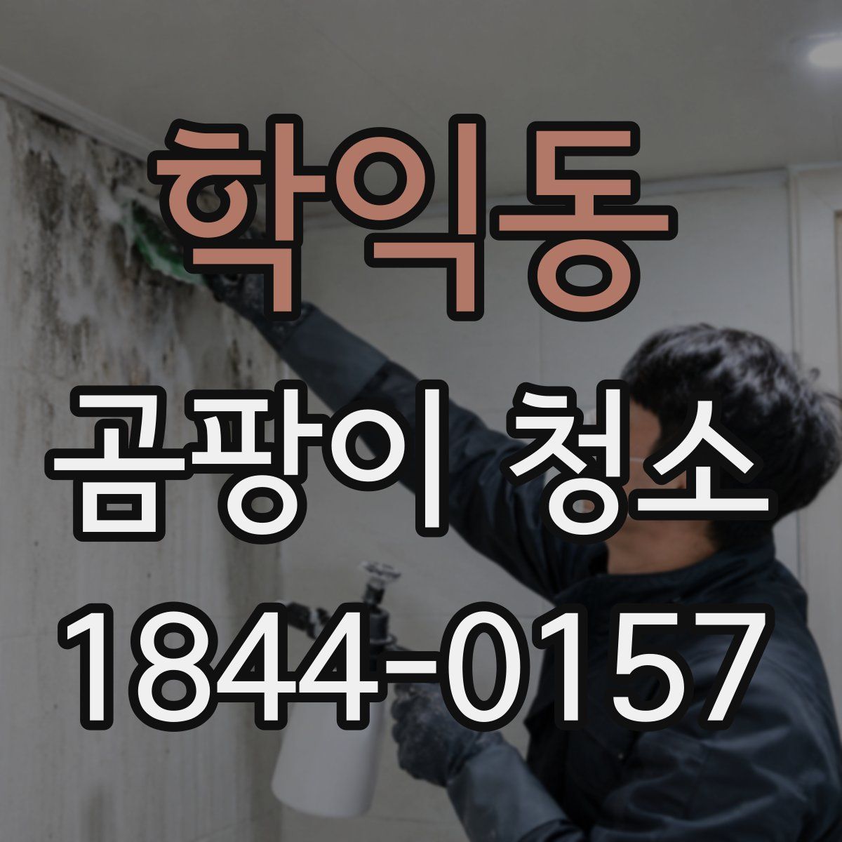 학익동 곰팡이 청소