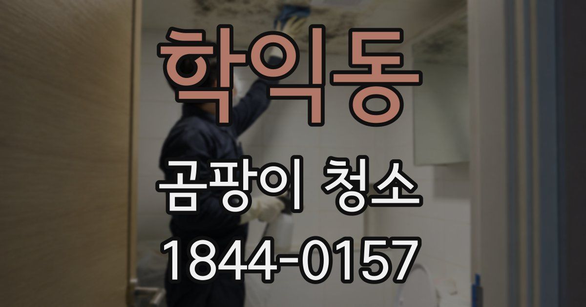 학익동 곰팡이 청소