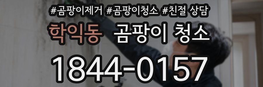 학익동 곰팡이 청소