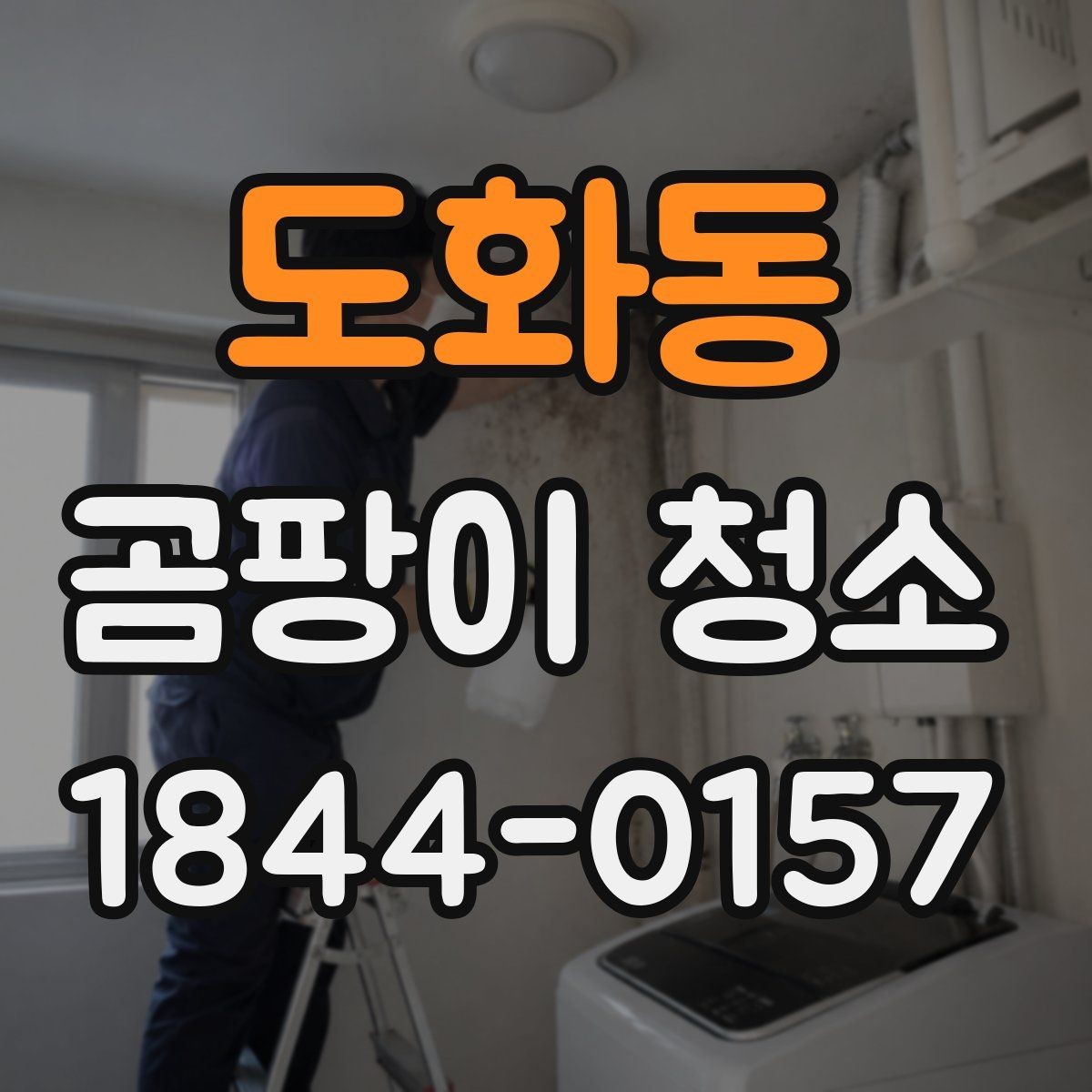도화동 곰팡이 청소 진행 전 사진 상담이 도움이 되는 경우
