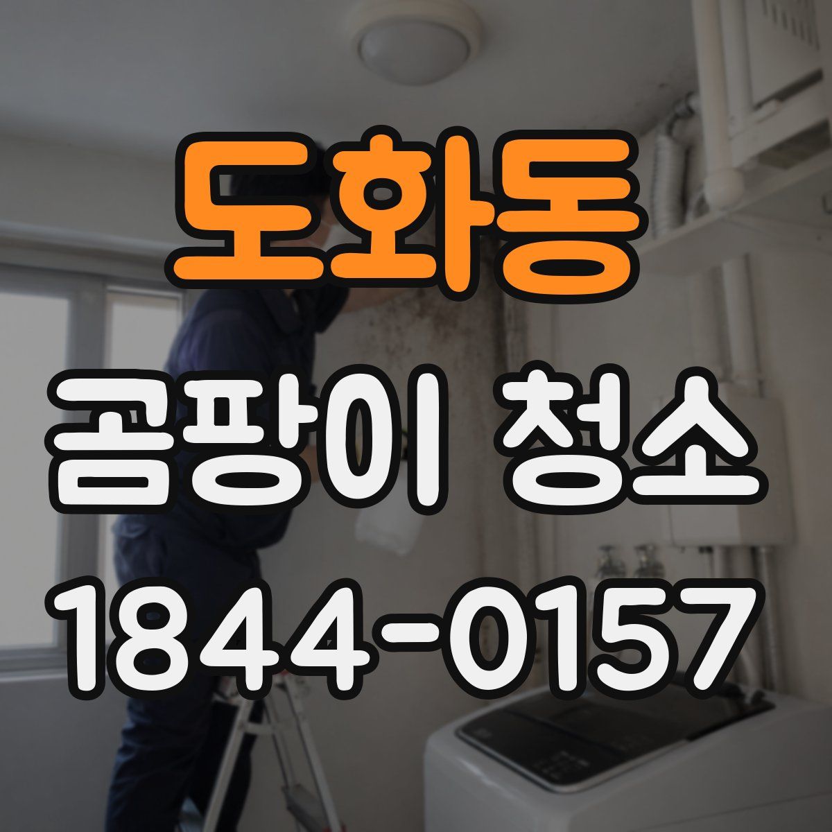 도화동 곰팡이 청소