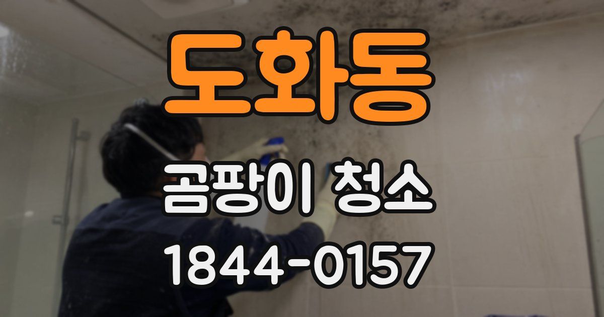 도화동 곰팡이 청소