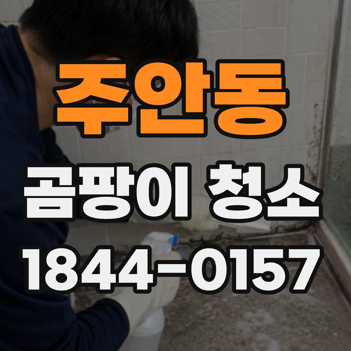 주안동 곰팡이 청소