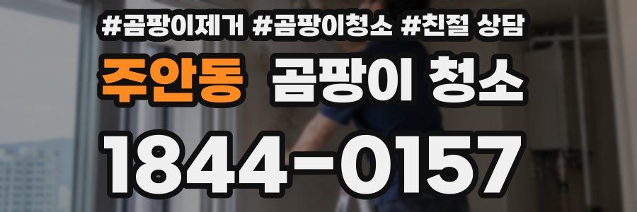 주안동 곰팡이 청소