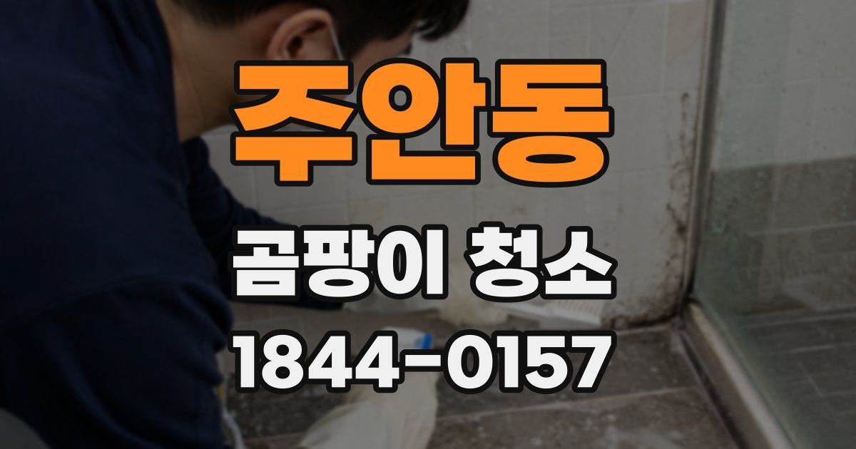 주안동 곰팡이 청소