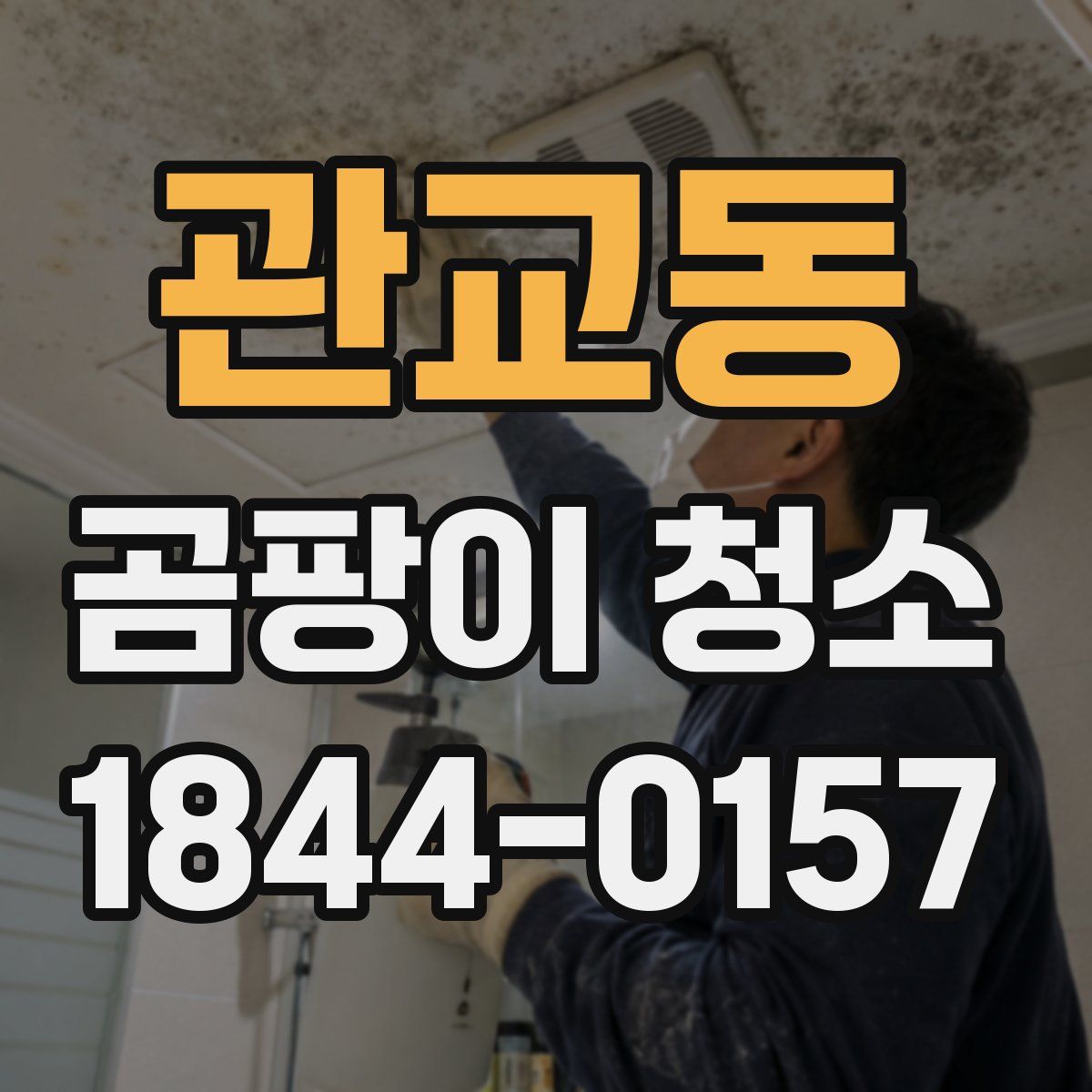 관교동 곰팡이 청소