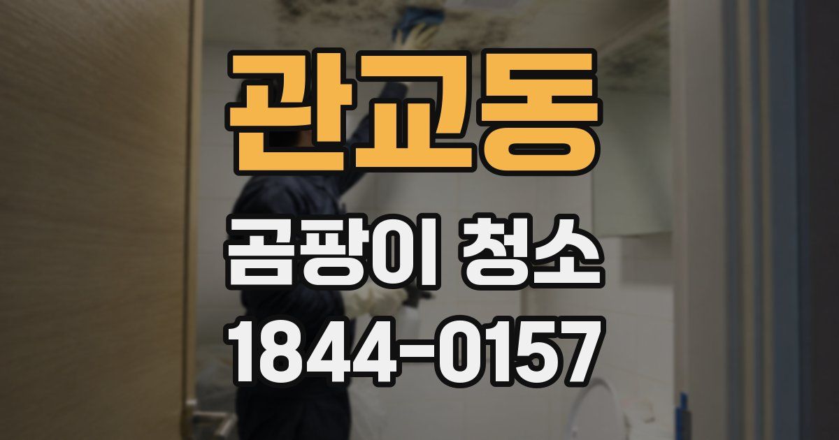관교동 곰팡이 청소