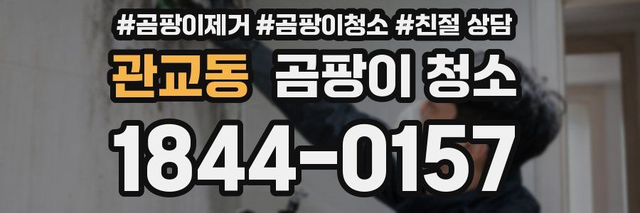관교동 곰팡이 청소