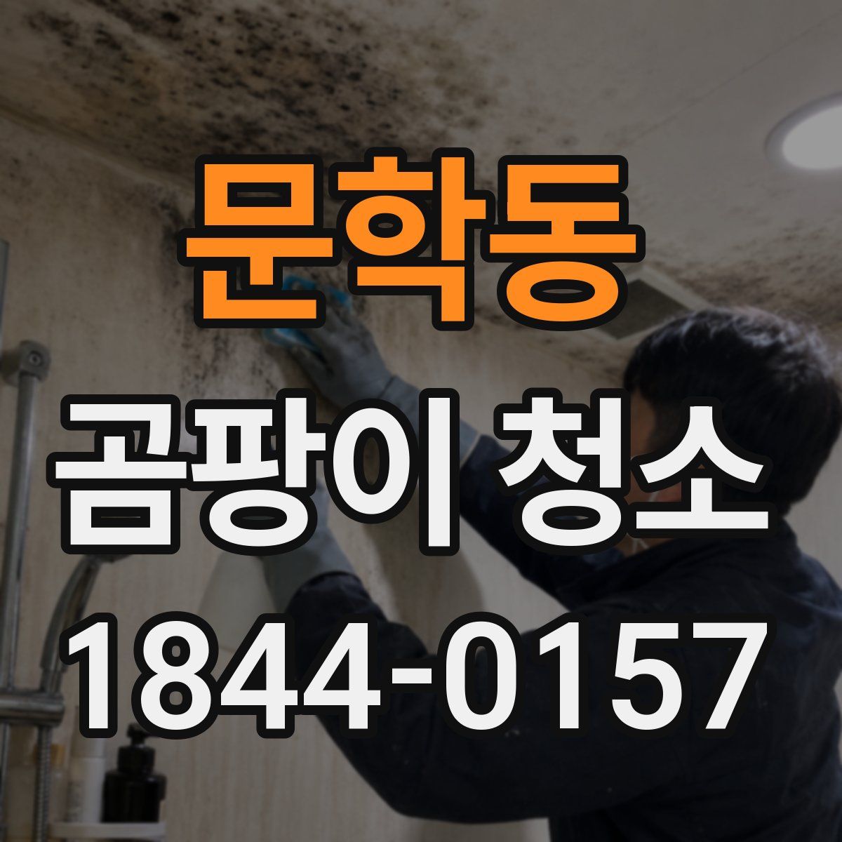문학동 곰팡이 청소