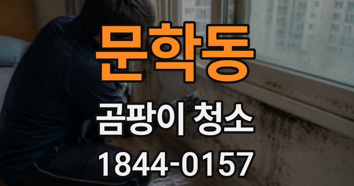문학동 곰팡이 청소
