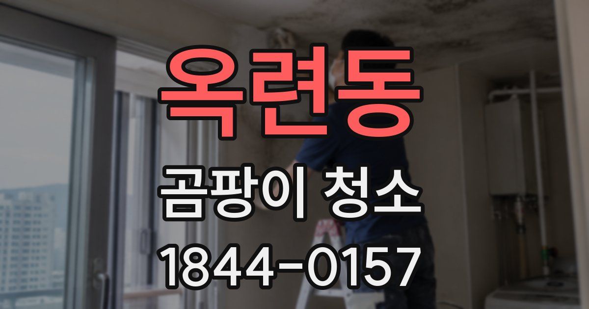 옥련동 곰팡이 청소