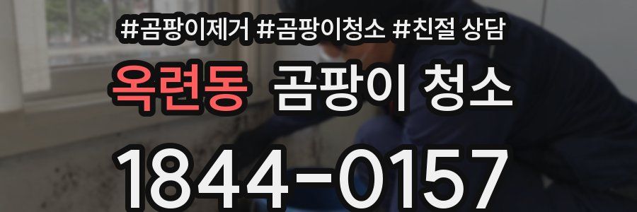 옥련동 곰팡이 청소