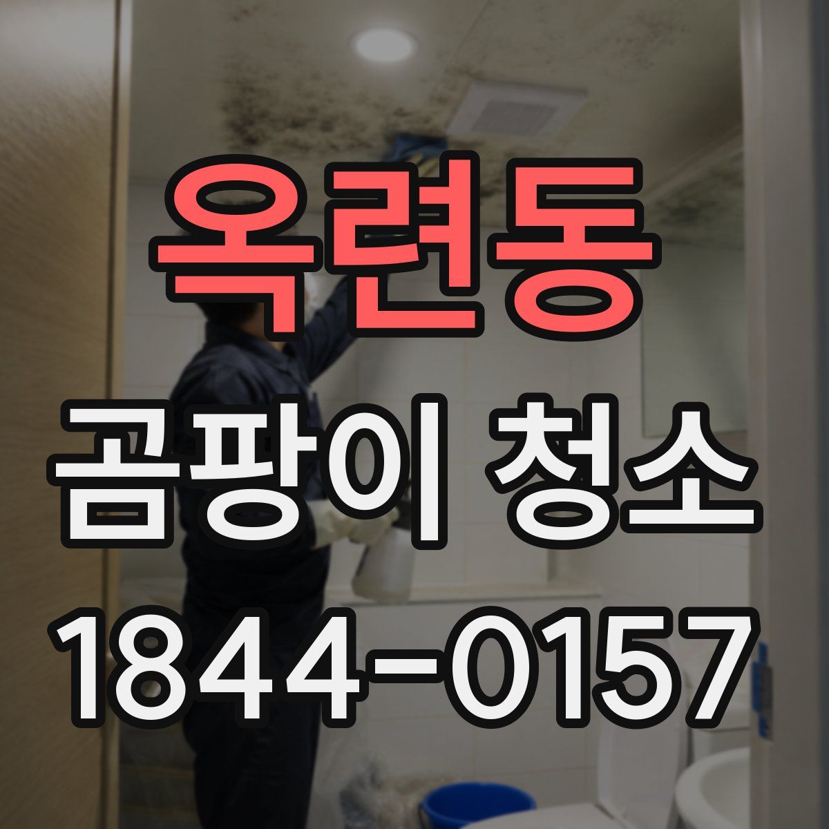 옥련동 곰팡이 청소