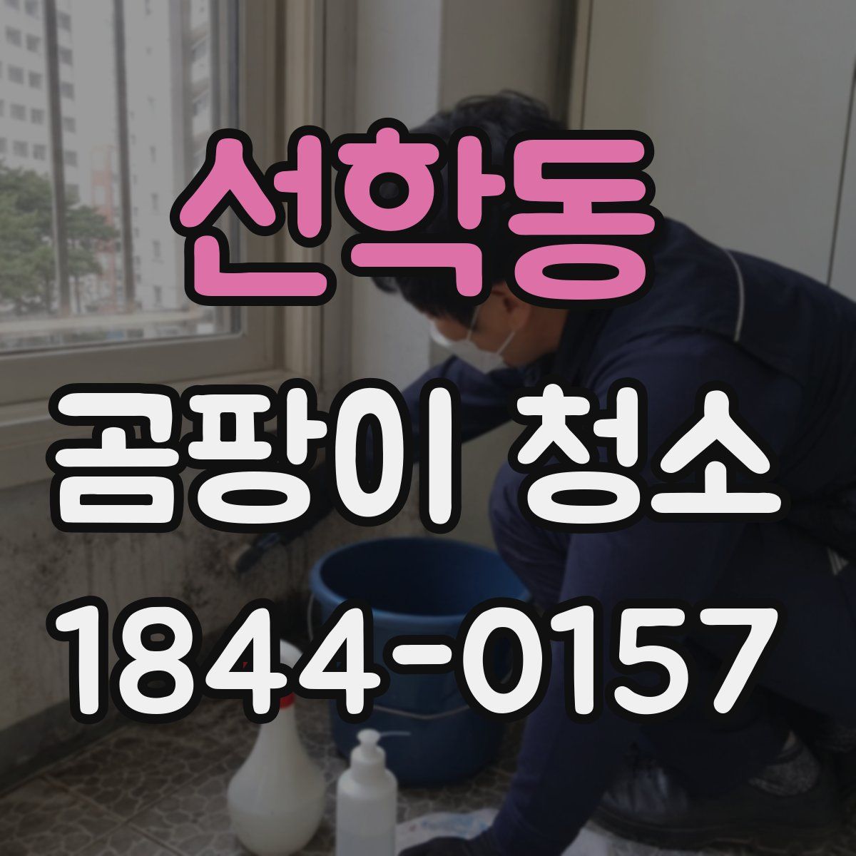선학동 곰팡이 청소